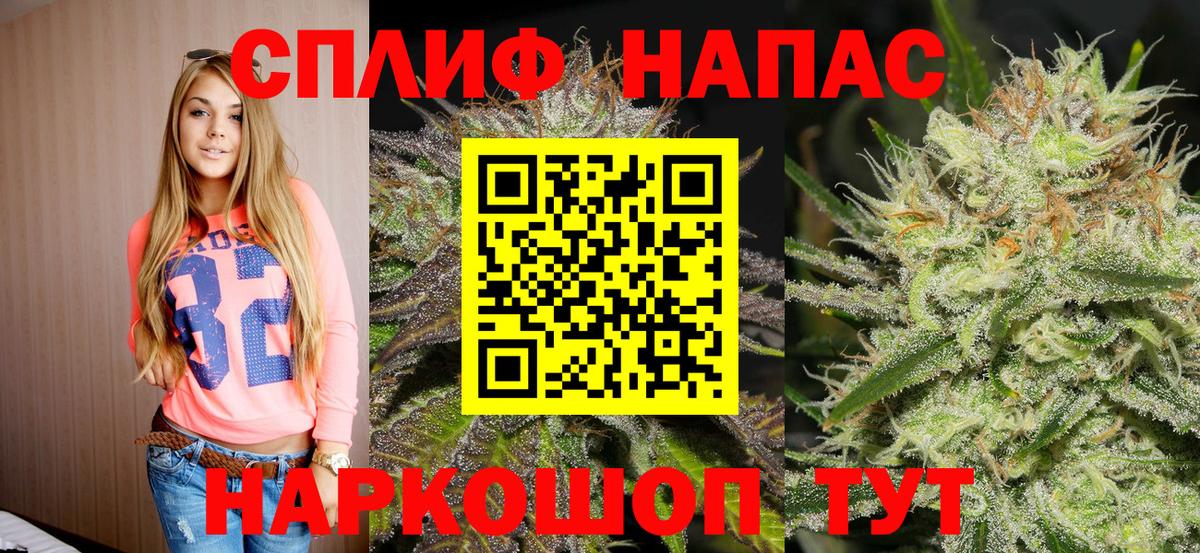 Бошки марихуана семена Сегежа